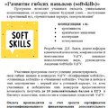 Программа дополнительного образования «Развитие гибких навыков (softskills)»